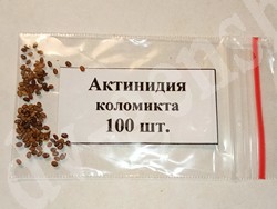 купить семена актинидии коломикта