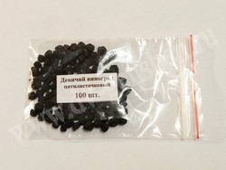 Купить семена девичьего винограда (в ягодах)