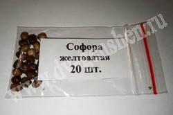 Семена софоры желтоватой