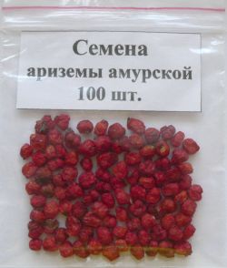 Семена ариземы амурской