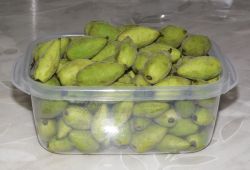 Молодые плоды ореха маньчжурского